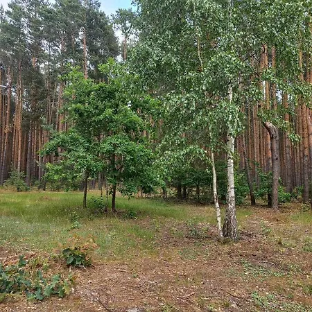 Farm stay Zacisze Nad Pilica