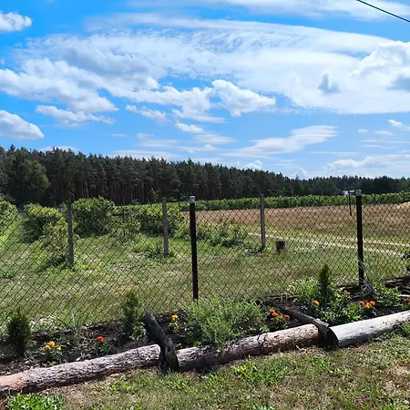 Zacisze Nad Pilica 农家乐 Stromiec