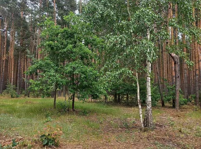 Alojamento de Turismo Rural Zacisze Nad Pilica