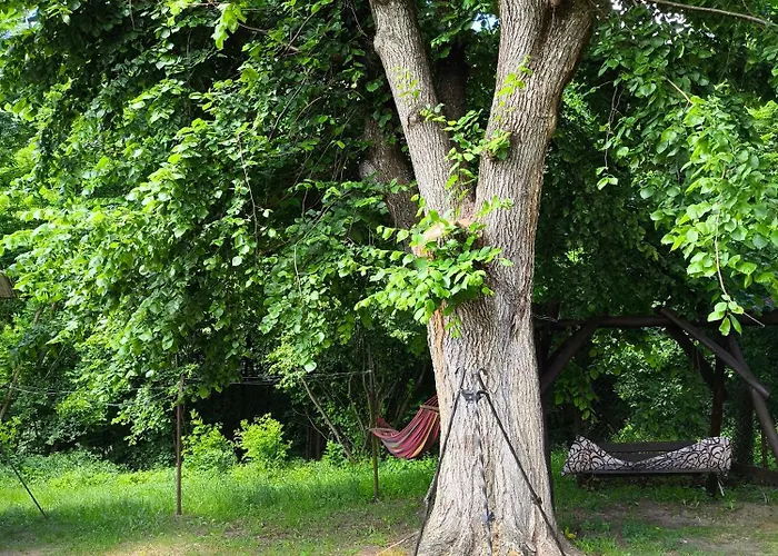 Zacisze Nad Pilica Stromiec
